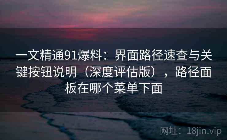 一文精通91爆料：界面路径速查与关键按钮说明（深度评估版），路径面板在哪个菜单下面  第1张
