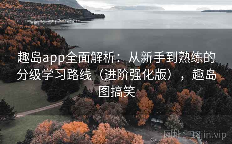 趣岛app全面解析：从新手到熟练的分级学习路线（进阶强化版），趣岛图搞笑  第2张