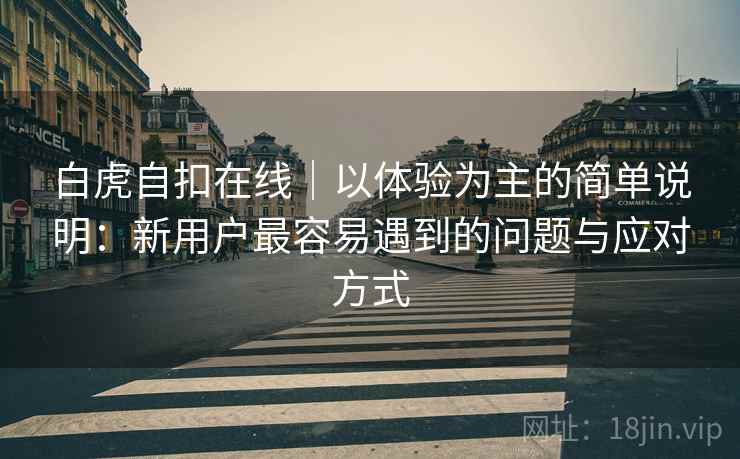 白虎自扣在线｜以体验为主的简单说明：新用户最容易遇到的问题与应对方式  第2张