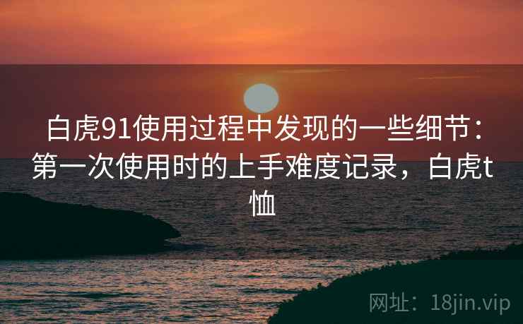 白虎91使用过程中发现的一些细节:第一次使用时的上手难度记录,白虎t恤 第2张 白虎91使用过程中发现的一些细节:第一次使用时的上手难度记录,白虎t恤 第2张