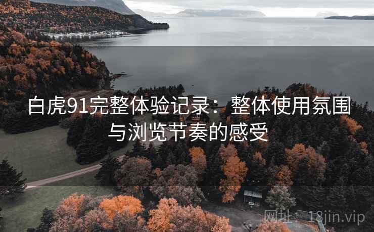 白虎91完整体验记录:整体使用氛围与浏览节奏的感受 第2张 白虎91完整体验记录:整体使用氛围与浏览节奏的感受 第2张