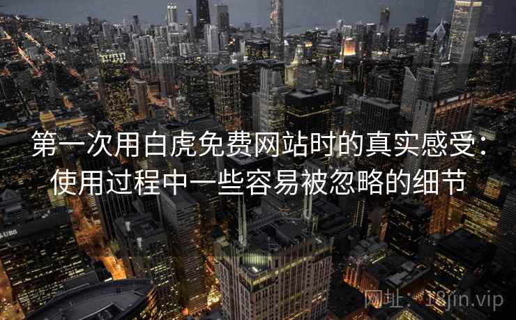 第一次用白虎免费网站时的真实感受:使用过程中一些容易被忽略的细节 第1张 第一次用白虎免费网站时的真实感受:使用过程中一些容易被忽略的细节 第1张