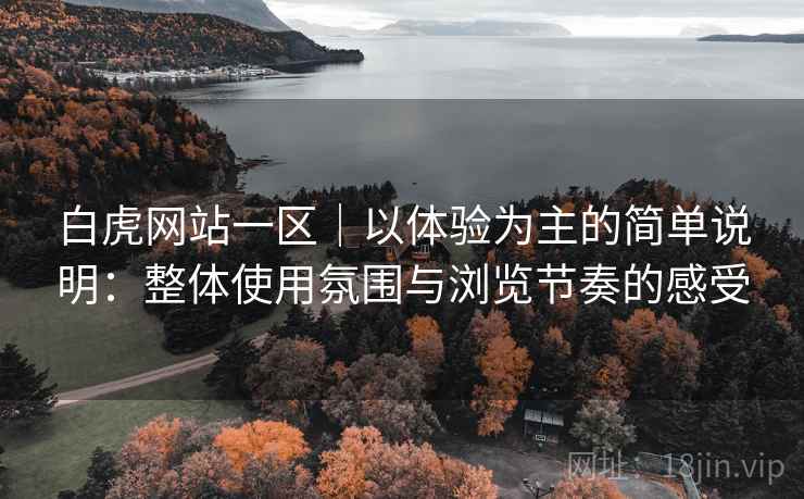白虎网站一区|以体验为主的简单说明:整体使用氛围与浏览节奏的感受 第2张 白虎网站一区|以体验为主的简单说明:整体使用氛围与浏览节奏的感受 第2张