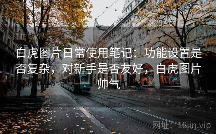 白虎图片日常使用笔记:功能设置是否复杂,对新手是否友好,白虎图片帅气 第2张 白虎图片日常使用笔记:功能设置是否复杂,对新手是否友好,白虎图片帅气 第2张