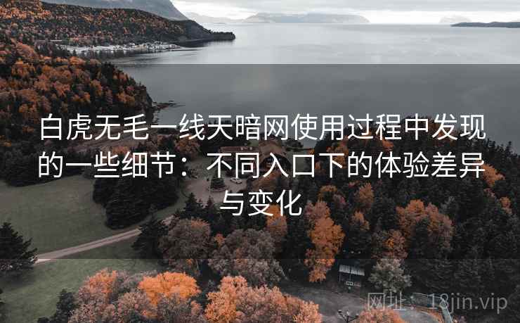 白虎无毛一线天暗网使用过程中发现的一些细节：不同入口下的体验差异与变化  第2张