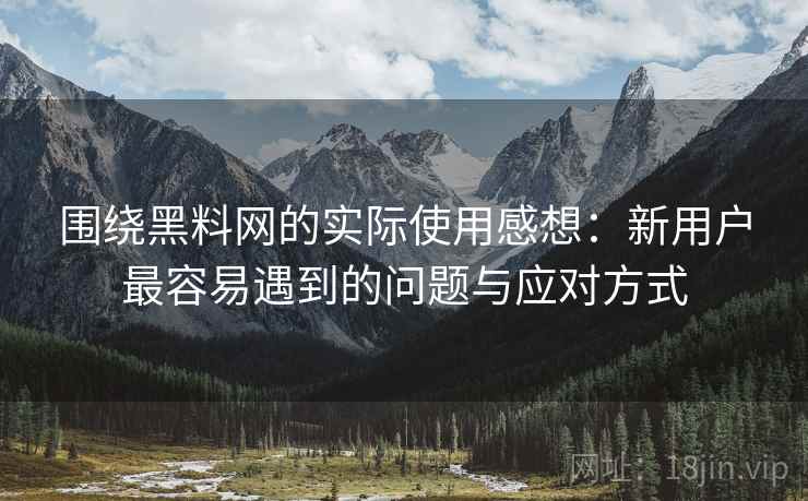 围绕黑料网的实际使用感想：新用户最容易遇到的问题与应对方式  第2张
