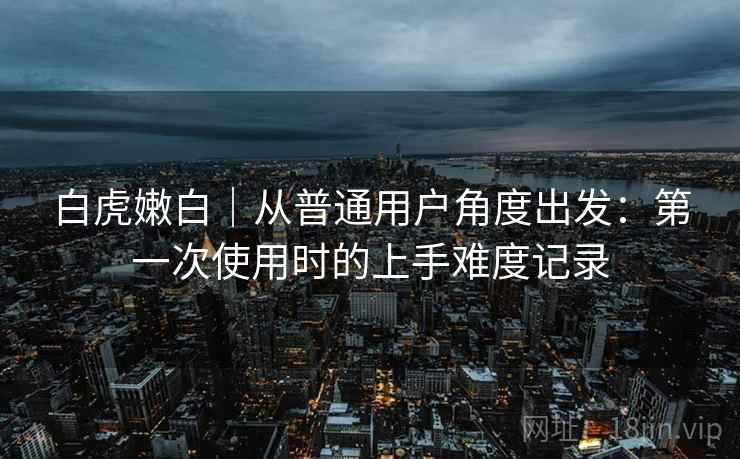 白虎嫩白｜从普通用户角度出发：第一次使用时的上手难度记录  第2张