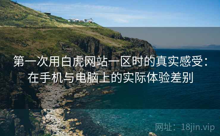 第一次用白虎网站一区时的真实感受：在手机与电脑上的实际体验差别  第1张