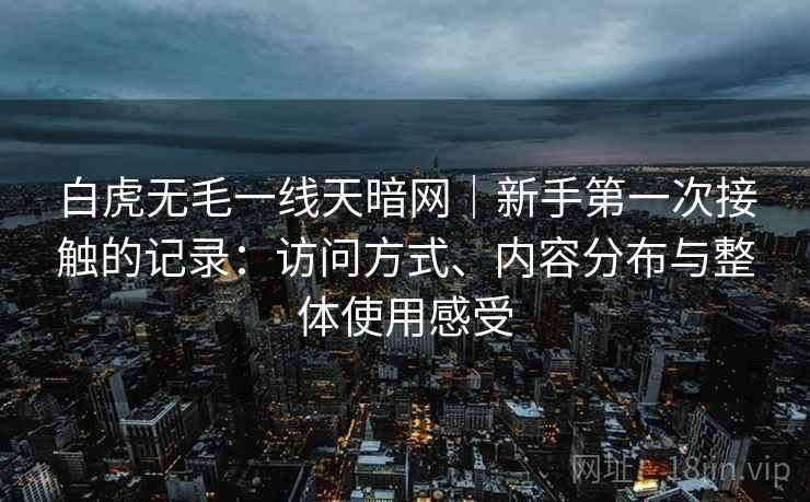 白虎无毛一线天暗网｜新手第一次接触的记录：访问方式、内容分布与整体使用感受  第1张