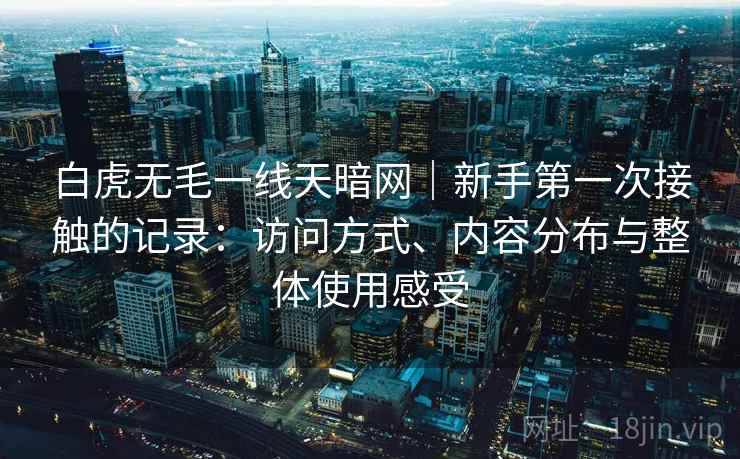 白虎无毛一线天暗网｜新手第一次接触的记录：访问方式、内容分布与整体使用感受  第2张