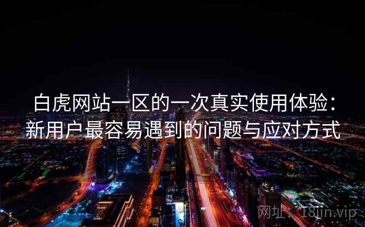 白虎网站一区的一次真实使用体验：新用户最容易遇到的问题与应对方式  第1张