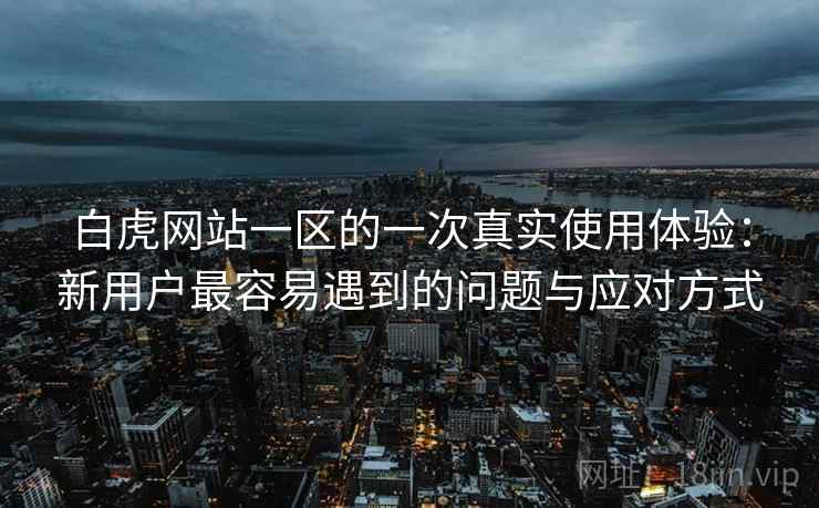 白虎网站一区的一次真实使用体验：新用户最容易遇到的问题与应对方式  第2张
