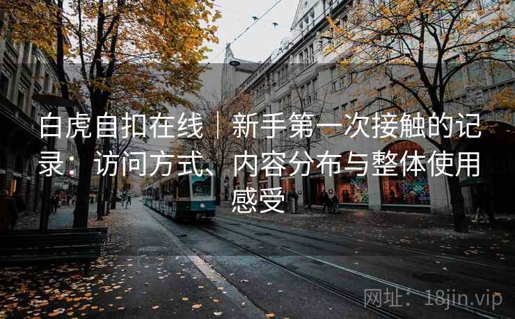 白虎自扣在线｜新手第一次接触的记录：访问方式、内容分布与整体使用感受  第2张