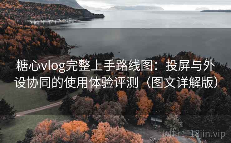 糖心vlog完整上手路线图：投屏与外设协同的使用体验评测（图文详解版）  第1张
